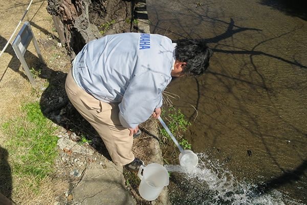 Survey to check the impact on ecosystem.